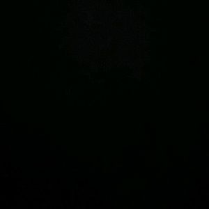 Meet your Posher, Josiah